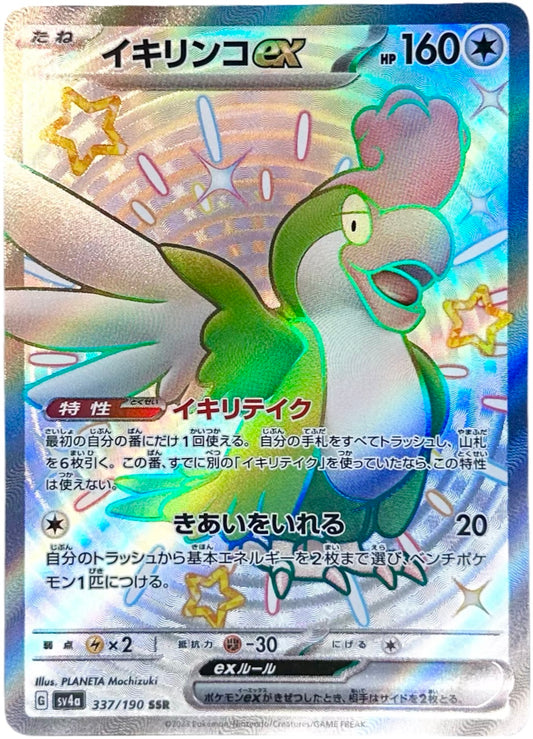 JPN. Squawkabilly EX